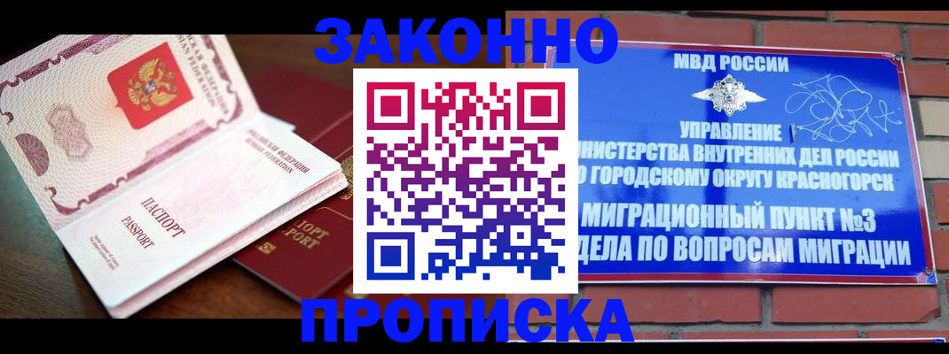 прописка для школы в Лыткарино